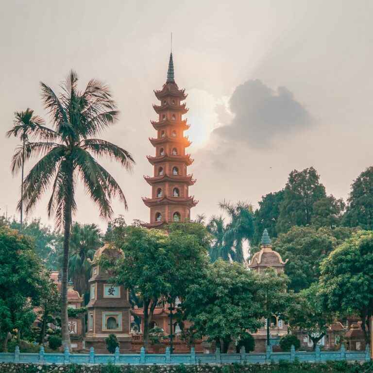 hoang anh nyvbshngbpw unsplash