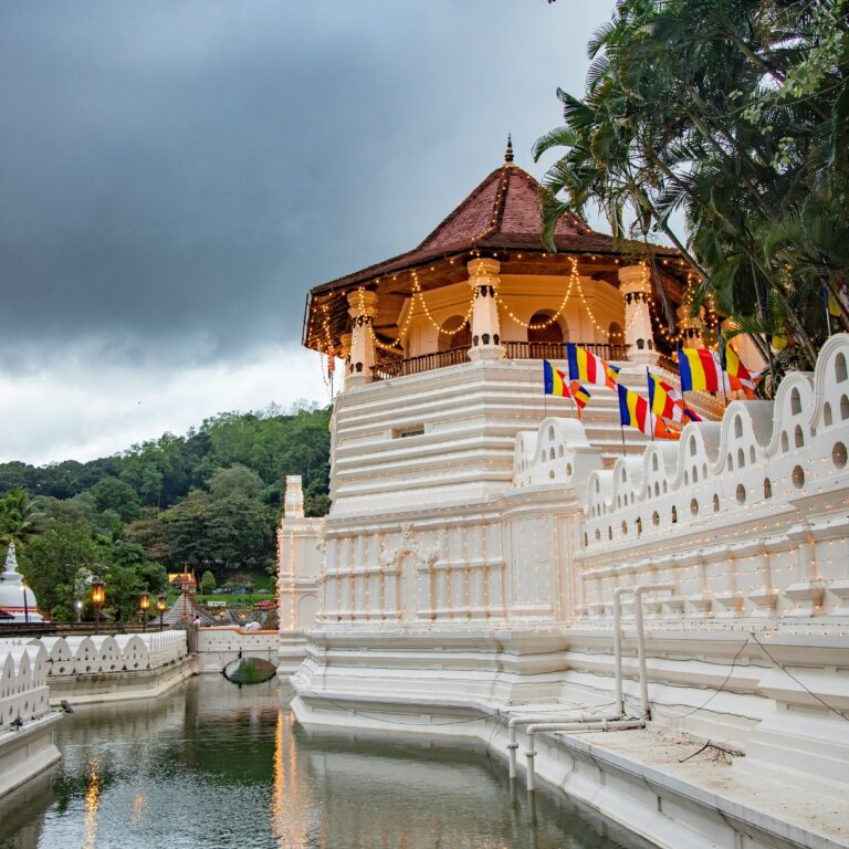 chathura anuradha subasinghe isdvqf04mdk unsplash