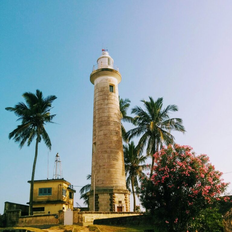youhana nassif ctz5wzqo ss unsplash