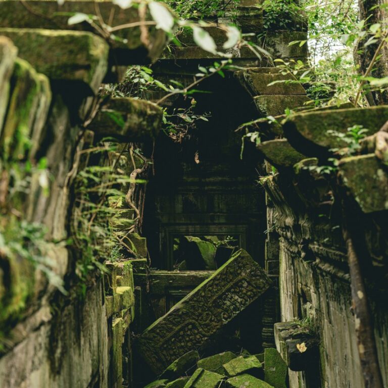 nicolas spehler c3st5sqiw c unsplash
